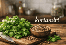 koriandri