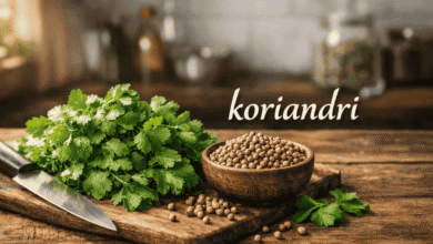 koriandri