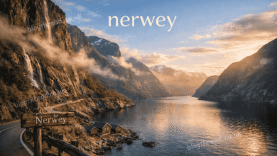nerwey