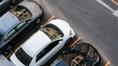 Exotic Car Rental Business